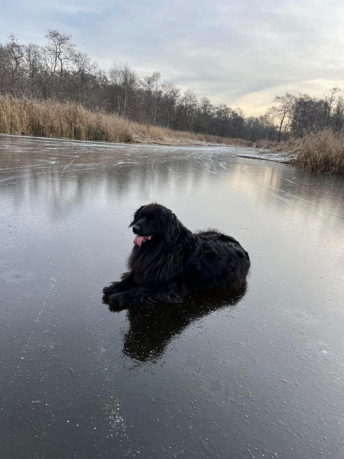 Huisje Op De Dijk Kortenhoef Exteriér fotografie