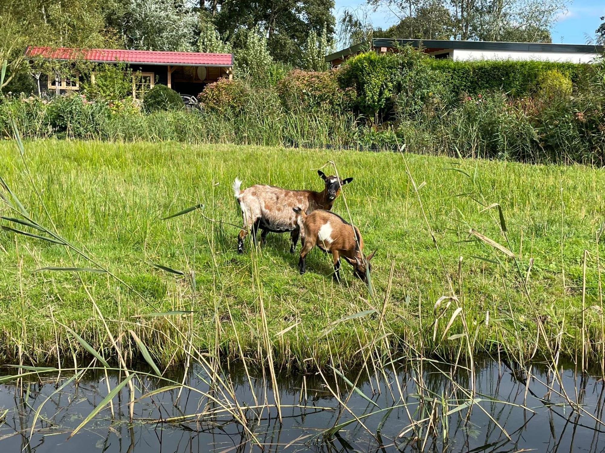 Huisje Op De Dijk Kortenhoef Exteriér fotografie